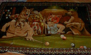 Dogs shootin Pool